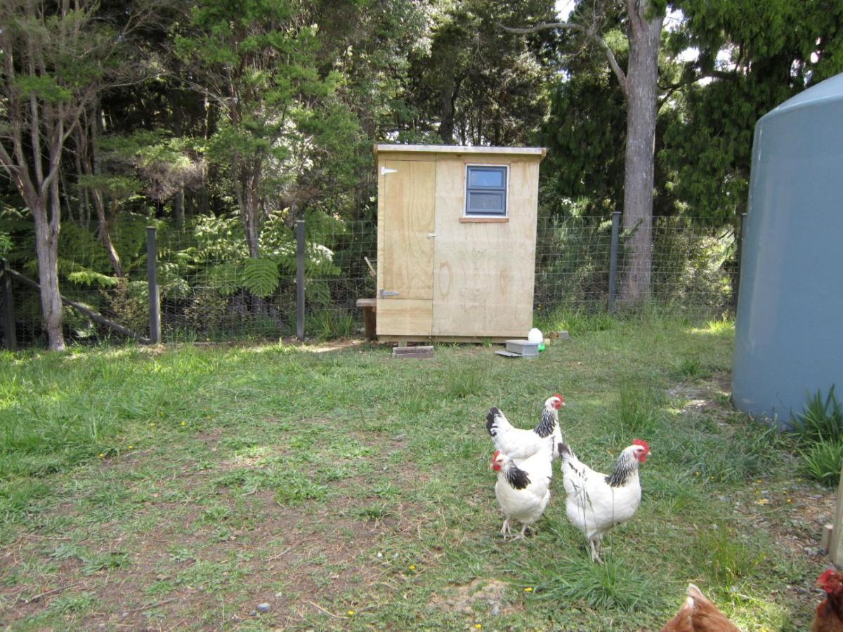 הוילה Kaipara Flats The Hen House מראה חיצוני תמונה